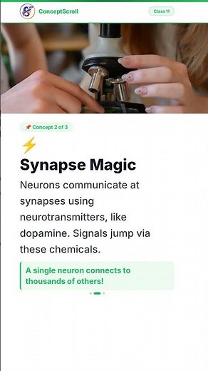 Neural Control and Coordination, Class 11 Biology | Chapter 9 | Class 11 Biology | NCERT | ConceptSc