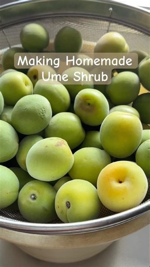 Making Homemade Ume Shrub梅サワーを作ろう！ #ばあちゃん #梅サワー