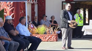Nelson City Council on Reels