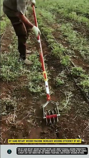 DIY Hand Rotary Weeder Machine increases weeding efficiency by 60%