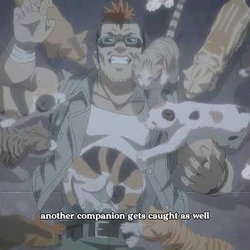 Whenever people come into contact with cats, they will turn into cats#anime #shorts