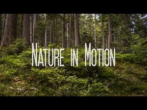 Nature in Motion [4K Ultra HD]