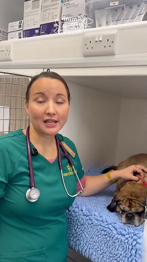 Book now for a free, full pet health check with a leading UK vet in your local area. YES! FREE… Why are we offering this? Studies have shown a 37.9% increase over the last year in underlying issues in UK pets going untreated. Common issues include: -Diarrhoea -Itching -Eating Patterns Enough is enough Animal Health Check has partnered with leading vets across local areas in the UK to offer a completely FREE health check for your pet. What to expect from your FREE Pet Health Check: -1-to-1 sit-do
