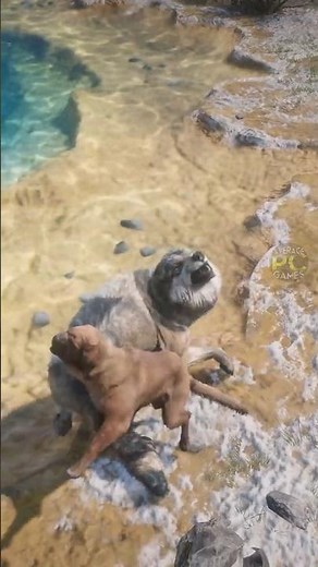 Hound Dog vs Wolf - Intense Showdown in Red Dead Redemption 2!