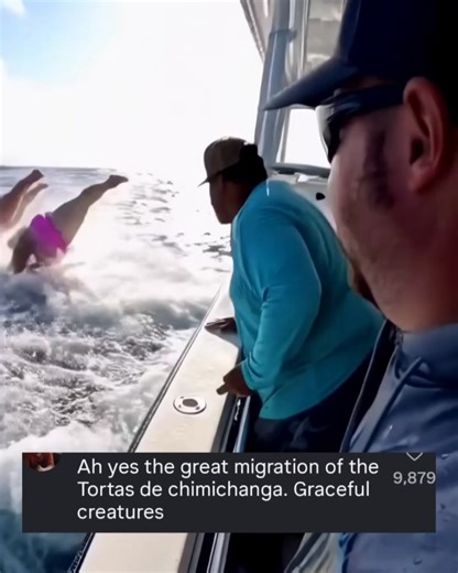 They were lured with Big Macs 🤣 #AINauticalNonsense #AI #Funny #wavewatchers | Wave Watchers