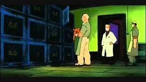 Felidae - Lab Experiments