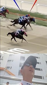 Are you insane? #horseracing