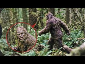 This Is Proof Bigfoot Exists in America | Full Paranormal Documentary | The Bigfoot Experience
