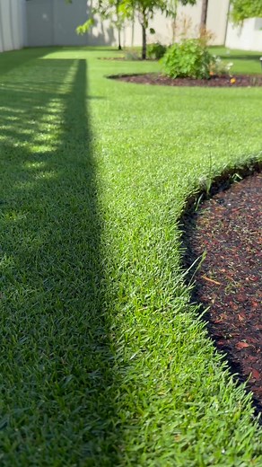 Scotts Lawn Fertilizer: Quick Green Up | Lawn Care Tips