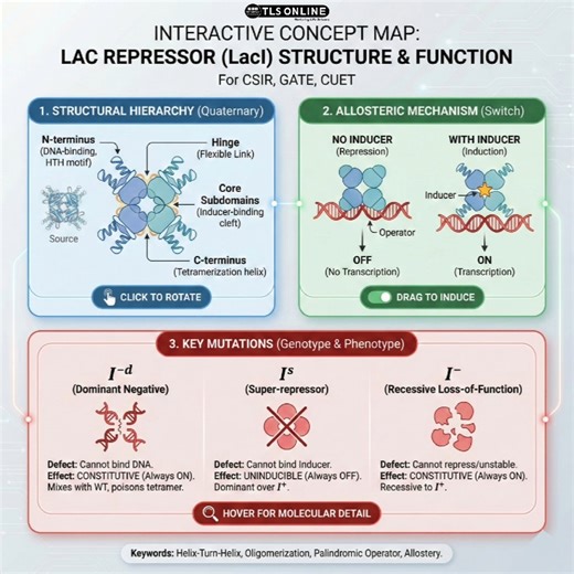 Mastering the lac Operon is a rite of passage for every Life Science aspirant! 🧬The Lac Repressor (LacI) isn't just a protein; it’s a sophisticated molecular switch that decides when a cell should invest energy in lactose metabolism. Whether you are prepping for CSIR-NET, GATE, or CUET, understanding these structural nuances is key to cracking those tricky experimental questions. 🔍 What’s inside this Concept Map?Structural Hierarchy: From the DNA-binding N-terminus (HTH motif) to the C-terminu