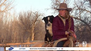 Montana Ag Network: Cowgirl’s best friend wins 'Farm Dog of the Year' award