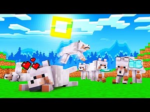 A MELHOR VERSÃO DOS LOBOS PARA O MINECRAFT!