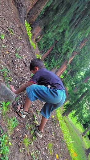 Child vs Mountain | incredible climb #mountainclimbing #littleexplorer #adventurekids #inspiring