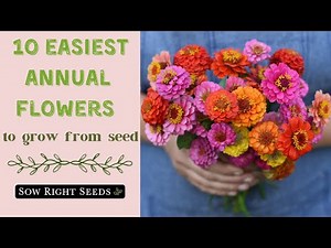 10 Easiest Annual Flowers to Start from Seed!