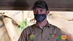 Keeper Nate is here to tell us about Bo, our Reticulated Python! How old is Bo? Why is he active some of the time but not others? And how in the world do we clean his exhibit!? Find out below!👇 Thank you to Vera Bradley for sponsoring our 2020 Keeper Chats | Fort Wayne Zoo