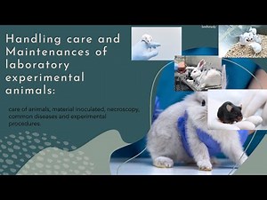 Lab Animals Care: Hindi-English Guide explain in detail🐭🐰🐒etc.