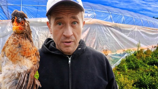 The world’s most dangerous tarp revealed