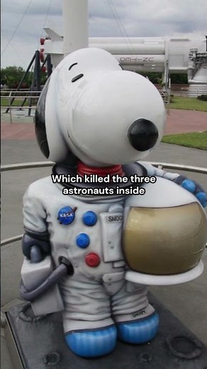 When Snoopy became an Astronaut | The Origins of the Silver Snoopy Award #history