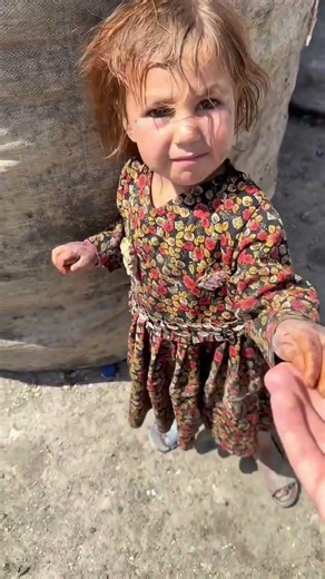 #nabipak #freepalestine #newvideo #palestine