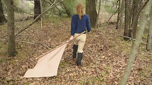 Ticks are on the move. This UMaine study could pinpoint the reason why.