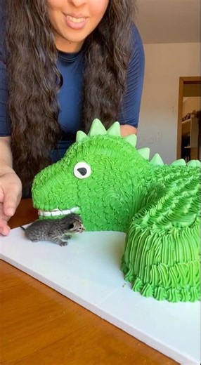 I made an alligator cake for my cat.