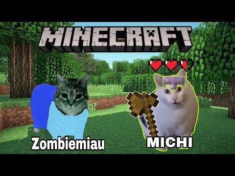 ¡Gatos Memes En MINECRAFT!- Parte 1