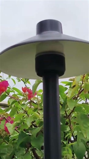 Brass Path Light in Black #outdoordecor#diy #outdoorlighting #delicious #lightfixture #lamp #light