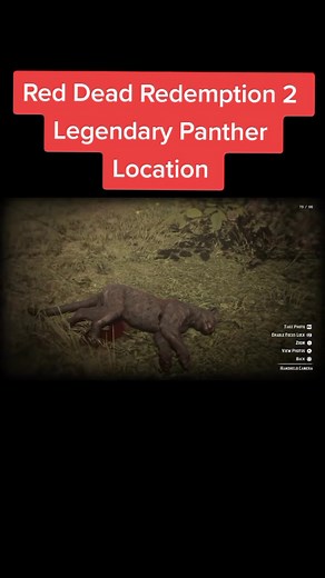 Master Hunter 10: Legendary Panther Location Guide