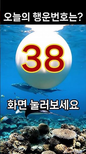 오늘의 행운번호는?화면을 눌러보세요!!#로또 #로또추첨기#로또예상번호