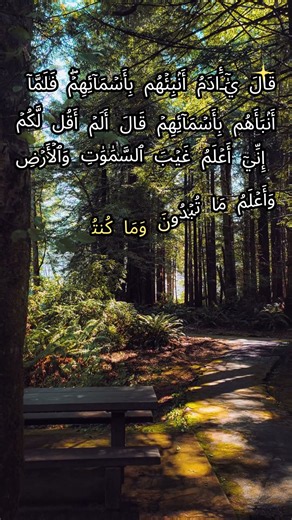 سورة البقرة جزء 18 بث السكينة في بيتك 🌾