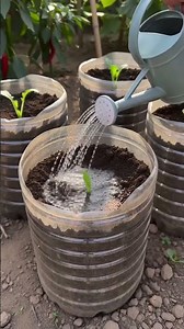 Planting Tips #gardeningtips #vegetables #gardentips #plantingtips #gardening