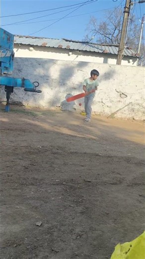 real cricket challenge #shortvideo #viral #gneshji #shortsfeed #viralshort #trending #shorts