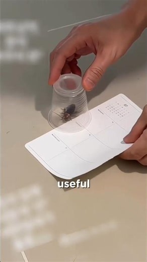 The Smartest Way to Catch a Cockroach