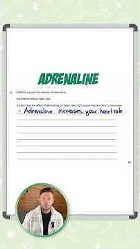 GCSE Biology: Exam Question | Adrenaline