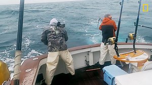 With just 2 episodes left, every fish could be the last paycheck of the season. A new episode of #WickedTuna: Outer Banks airs tonight at 9/8c on National Geographic. | National Geographic TV