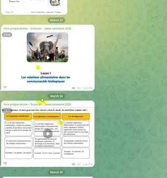 A complete explanation of the 1st year preparatory science curriculum (1ère préparatoire – Scienc...