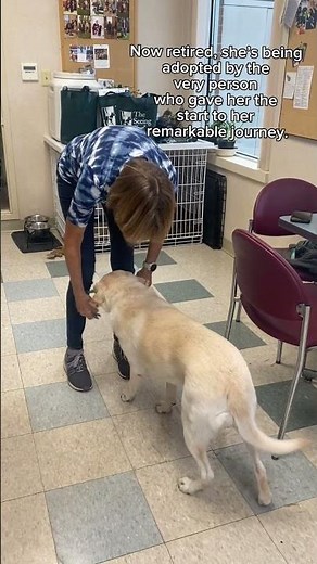Retired Guide Dog Reunited With Raiser