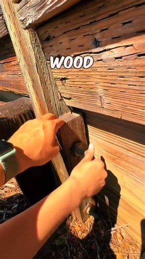 Would YOU Have Found This Cache? 🕵️‍♂️ #geocachechallenge | Stay Hullsome