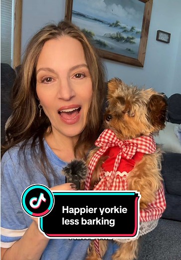 7 Effective Strategies to Reduce Barking in Yorkies