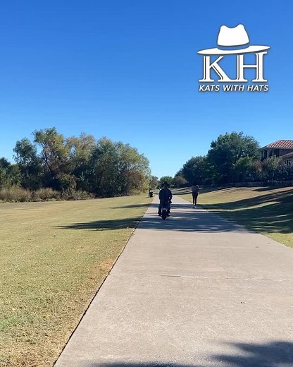 Flipping the Script | Kats with Hats | Luxury Handcrafted Remarkable and Rememberable Hats | #customfedoras #handcrafted #customfedorahats #customfedorasformen #customfedorasforwomen | Kats with Hats | Facebook