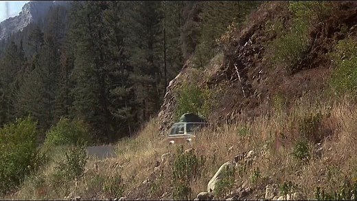 Homeward Bound: The Incredible Journey