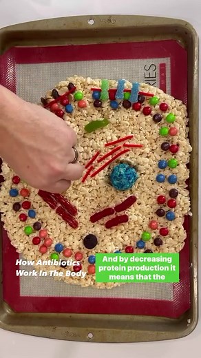 💊👉Here's a quick lesson on how antibiotics work in the body! #paramedicstudent #emtstudent #emtschool #emt #emtlife #paramedic #paramedicschool #paramedicos #paramediclife #paramedicscience #paramedical | Master Your Medics