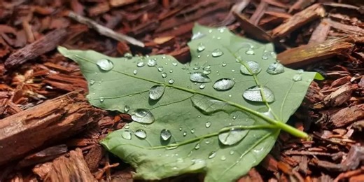 Mid-Michigan 10th grader places 2nd in national photography competition