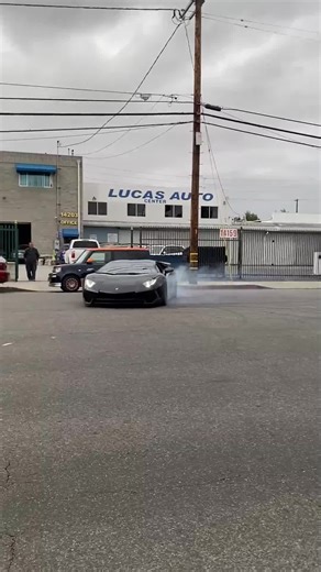 The 5 most expensive Lamborghini in the world #top5 #expensive #lamborghini