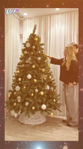 THE TOP CHRISTMAS TREES OF TIKTOKERS: ALLISSON MIA, NICOLE FIGUEROA, BRANDON AND SOFIA