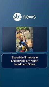 Sucuri de 5 metros é encontrada em resort lotado em Goiás | #PrimeiroImpacto