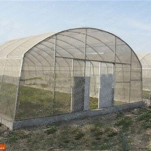[Hot Item] Vegetable Plant Galvanized Steel Frame Tunnel Greenhouse