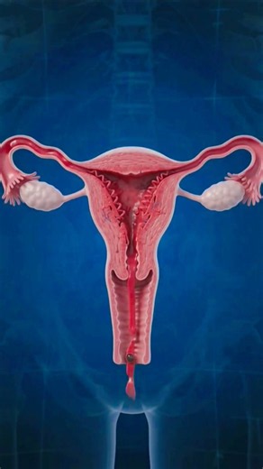 How do girls get their menstrual periods?