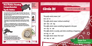 Reading Skills in Year 2 Activity Booklet (Ages 6 - 7)