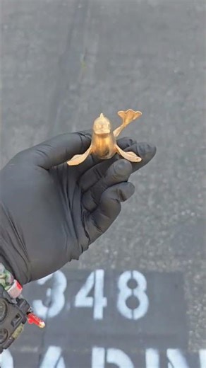 Flexi Dewgong Gold Plated Result ✨🐳 #GoldPlating #Electroforming #3DPrinted#FlexiPrint #3DPrinting